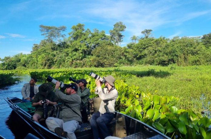 Famtour-Observacao-de-aves-Pantanal-Sul-8-730x480