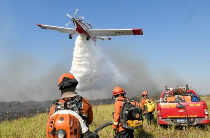 Combate-aereo-Pantanal-Foto-Bruno-Rezende-10-1-730x480