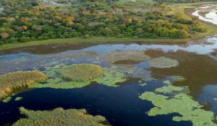 Parque-Estadual-do-Pantanal-do-Rio-Negro-capa-2-730x425