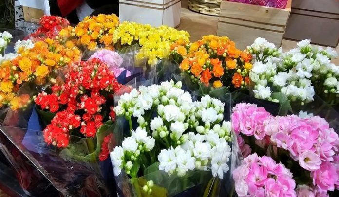 Flores-Pesquisa-Procon-Foto-Kleber-Clajus-2-730x425