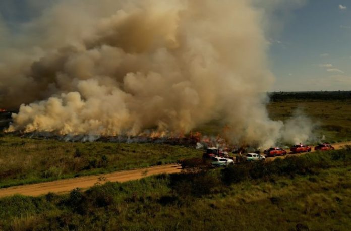 MIF-Queima-Prescrita-Foto-Ewerton-Pereira-Secom-7-730x480